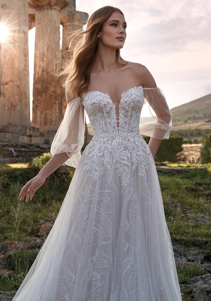 Nicole Milano Aradia Fairytale Wedding Dress HK | DBR Weddings